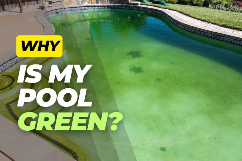 Green algae-covered inground concrete pool in a backyard with bold overlay text asking why the pool is green.