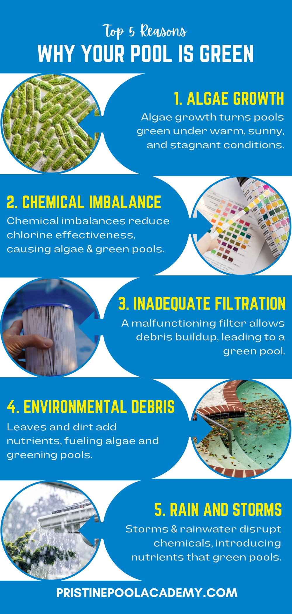 Why is My Pool Green? Find Out Why and How to Clear It Up Pristine