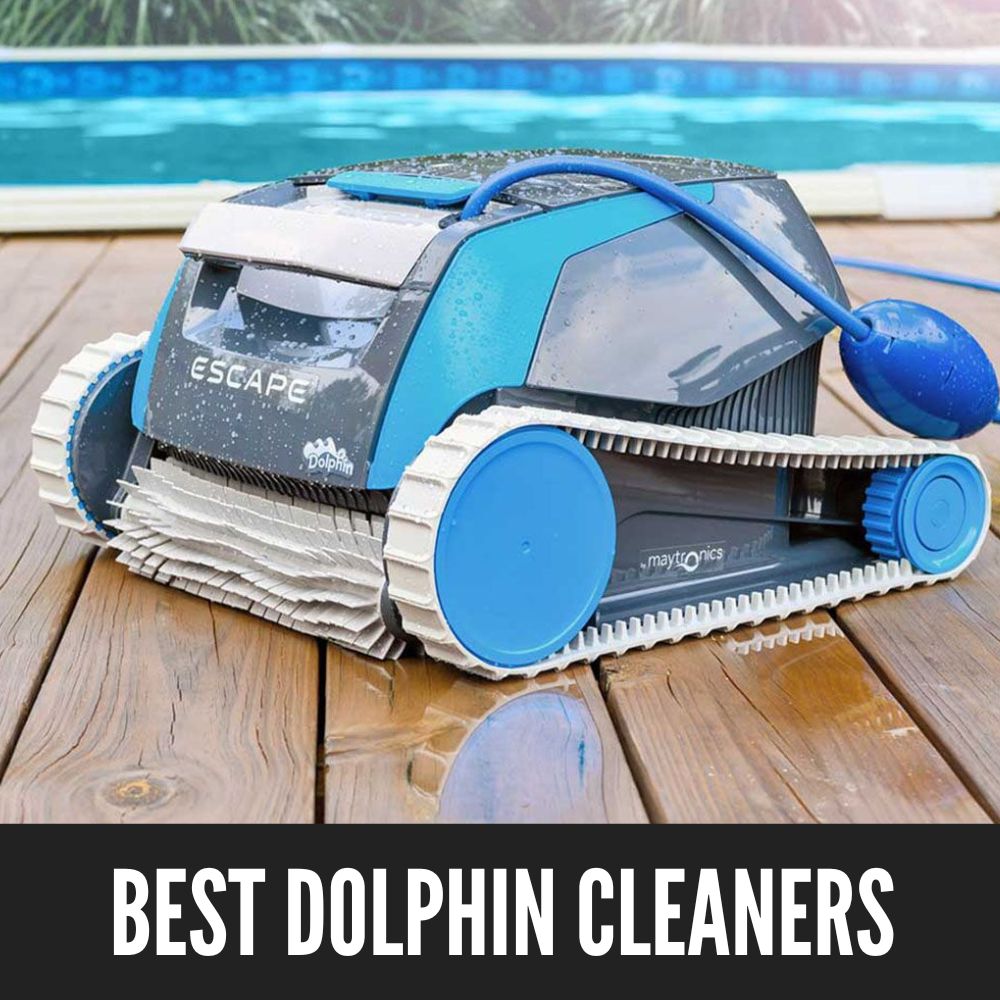 Best Dolphin Pool Cleaners