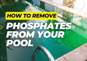 Pool with green algae water caused by high phosphates, overlaid with bold text that reads “How to Remove Phosphates from Your Pool”